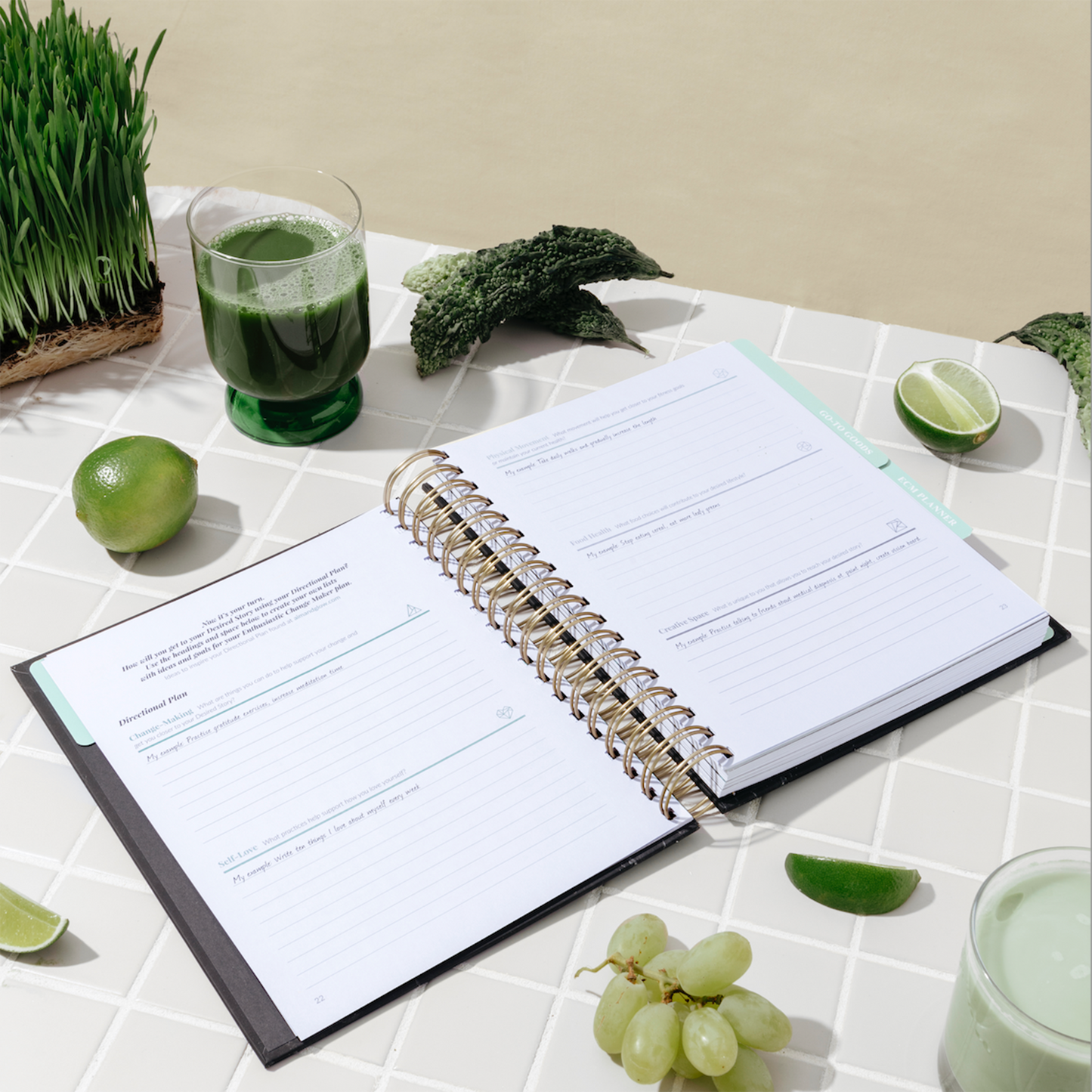 Enthusiastic Change Maker Planner
